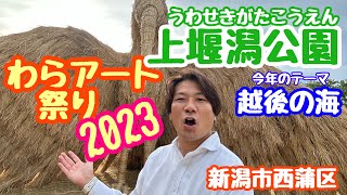 2023年8月27日 上堰潟公園 わらアート祭り 本日より開催！越後の海 新潟市西蒲区