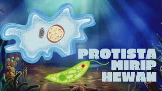 MUDAH MEMPELAJARI PROTISTA MIRIP HEWAN (PROTOZOA)