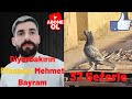 Oyun kuşu dumanlı sefere dalışı seyri harikaydı 37 Sefer