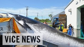 VICE News Daily: Beyond The Headlines - September 9, 2014