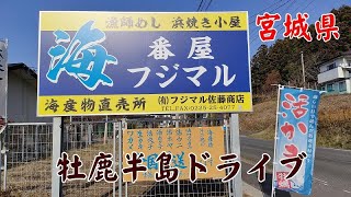 牡鹿半島ドライブ　宮城県道2号石巻鮎川線　ホエールタウンおしか【宮城県】2023.12.10