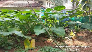 13.5 cent plot for sale at Kozhikode puthiyathu thaym