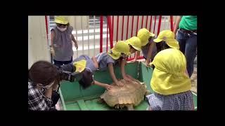 2021.9.7 き組・移動動物園の様子