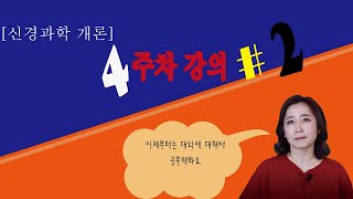 신경과학개론 4주차 #2