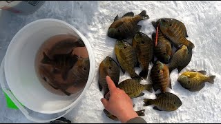 2 MAN ICE FISHING TOURNAMENT OKOBOJI, IOWA (Big bluegills) NAIFC