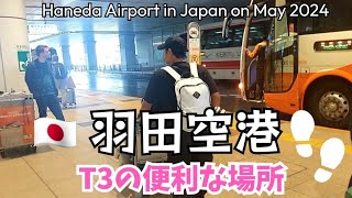 [18年ぶりの一時帰国 #14] 羽田空港編 国際線ターミナル3内を散策〜‼ 為になるかな? Haneda airport T3