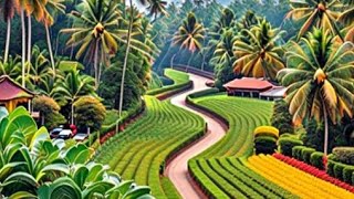 Discovering the Unexplored Beauty of Kannur: A Must-Visit Destination