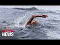 Chilean swimmer breaks Guinness world record in a swim between Pacific and Atlantic Oceans