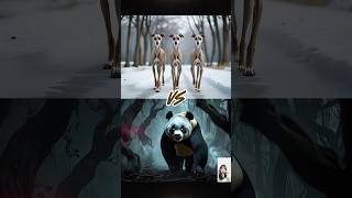 Demon Panda vs 10 Mighty Dogs – Whippet, Maltese, Chow Chow and More!