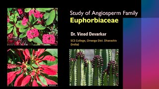 Study of Family Euphorbiaceae by Dr. V. D. Devarkar