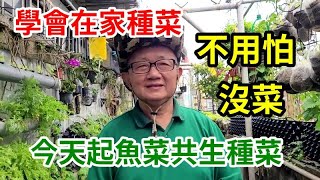 魚菜共生入門 愛迪先生 line 0921104500