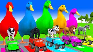 5 Giant Duck Cartoon,Cow,Elephant,Giraffe,Tiger,Lion, Paint Wild Animals Crossing Fountain Animation