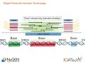 genotyping by sequencing using single primer enrichment technology spet