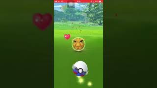 ポケモンGO 色違い  クヌギダマ