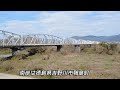 菜の花と吉野川市の風景