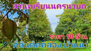 EP358.บ้านสวนนครนายก สวนทุเรียน สวนผลไม้ผสม 4 ไร่ ที่ดินติดคลอง  สนใจติดต่อ 0981473498,0887902134