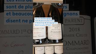 Les vins de Bourgogne trop chers?