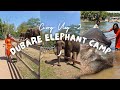 Crazy experience at Dubare Elephant Camp (All you need to know!) | Vlog -2 #dubare #coorg