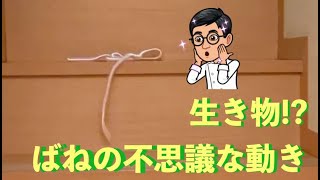 生き物のように動く「バネ」が面白い!!