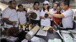 竟指种油棕会令人猿绝种！郭素沁轰某国际学校误人子弟 | 精彩大马