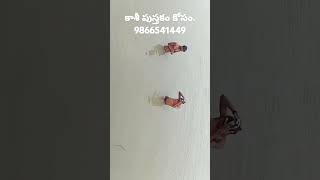 కాశీలో 73వ ఘాట్ జానకి ఘాట్