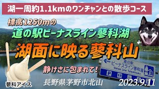 黒柴りくが行く〜蓼科湖の湖畔にある道の駅❗️自然環境が豊かでワンちゃんの散歩コースもあり、犬連れ家族には車中泊に最適です👍#黒柴 #柴犬 #愛犬 #ペット #犬連れ #夫婦旅 #車中泊 #道の駅