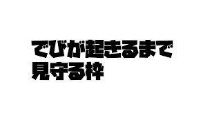 でびが起きるまで見守る枠