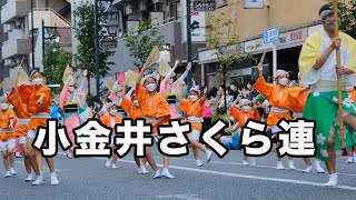 阿波踊り　小金井さくら連　無双連直伝の踊り！３年ぶりの小金井阿波おどりで徳島の風を感じました / Japanese traditional dance Awaodori.