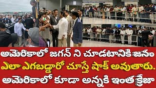 అమెరికా ఎయిర్ పోర్ట్ లో జగన్ క్రేజ్ చూస్తే తట్టుకోలేం | ApCm Jagan | Usa Trip | Tea News