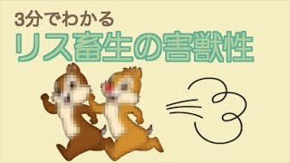 【3分でわかる】〜実は嫌われているリスについて〜【リス畜生の害獣性】