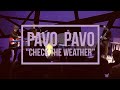 pavo pavo check the weather live at national sawdust