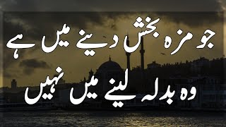 Beautiful Islamic Quotes || Islamic Aqwal || Urdu Motivational Quotes
