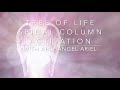 Tree of Life Spinal Column Activation with Archangel Ariel