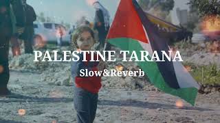 Palestine Tarana | Labbaiq Yea Aqsa | New Urdu naat.Slowed & Reverbed.