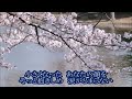 【新曲】桜（愛しい人へ）山本和恵：カバー後藤ケイ