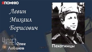 Левин Михаил Борисович. Проект \