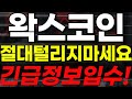 🔴[왁스코인전망] 🏆절대 털리지마세요!🏆긴급정보입수!🔥