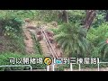 城門引水道〉三棟屋路 經寮屋區 非一般行山路線 16 4 4