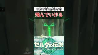 【Twitterでバズった】『こういう方法で飛べるんか』ってなるシーン。【ゼルダの伝説 ティアーズオブザキングダム】#shorts