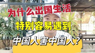 为什么出国生活，特别容易遇到，中国人害中国人？