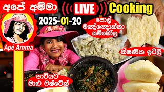 🔴 LIVE Cooking 2024-01-20 අපේ අම්මා අද රෑ හදපු රුලං ඉට්ලි, මාළු බිස්ටේක් සහ මඤ්ඤොක්කා Apé Amma