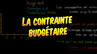 Économie - La contrainte budgétaire