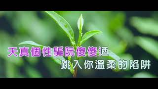 卡拉-有導【心肝袂凍收回】( 詞-黃明洲 曲-黃明洲\u0026吳舜華 ) 女調減一