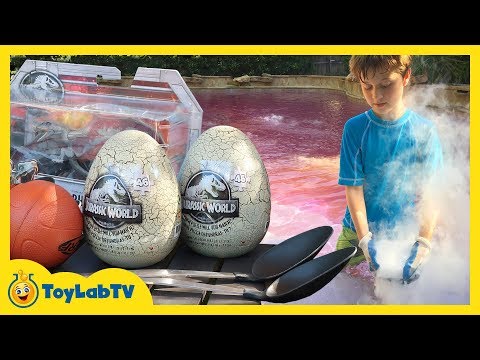 Dinosaur Pool Games Jurassic World Fallen Kingdom Toys Giant T Rex Dinosaur Pool Games Jurassic World Fallen Kingdom Toys Giant T Rex Kids Dinosaurs