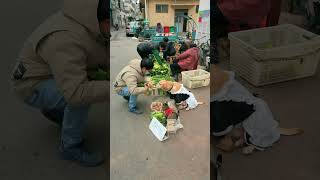 Dog sells vegetables and solicits customers on his own狗狗賣菜自己拉客