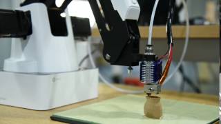 3D Print a Wooden Animal Demo Video  With DOBOT MAGICIAN