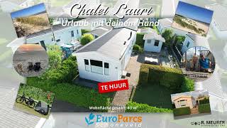 Chalet Lauri EuroParcs Schoneveld