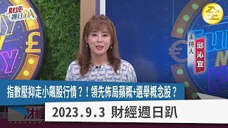 投資硬實力！資金撤出AI？領先主力佈局蘋果新機+選舉概念股？CoWoS先進封裝還有新飆股衝出頭？軍工股外行人看熱鬧、題材？內行人看懂營收暴衝時機點！ 2023.09.03【財經週日趴 全集】