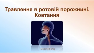 Біологія людини. Травлення в ротовій порожнині. Ковтання