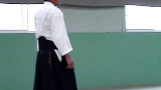 Takeno Sensei at the Yoshinkan Aikido 50th Anniversary Gasshuku.
